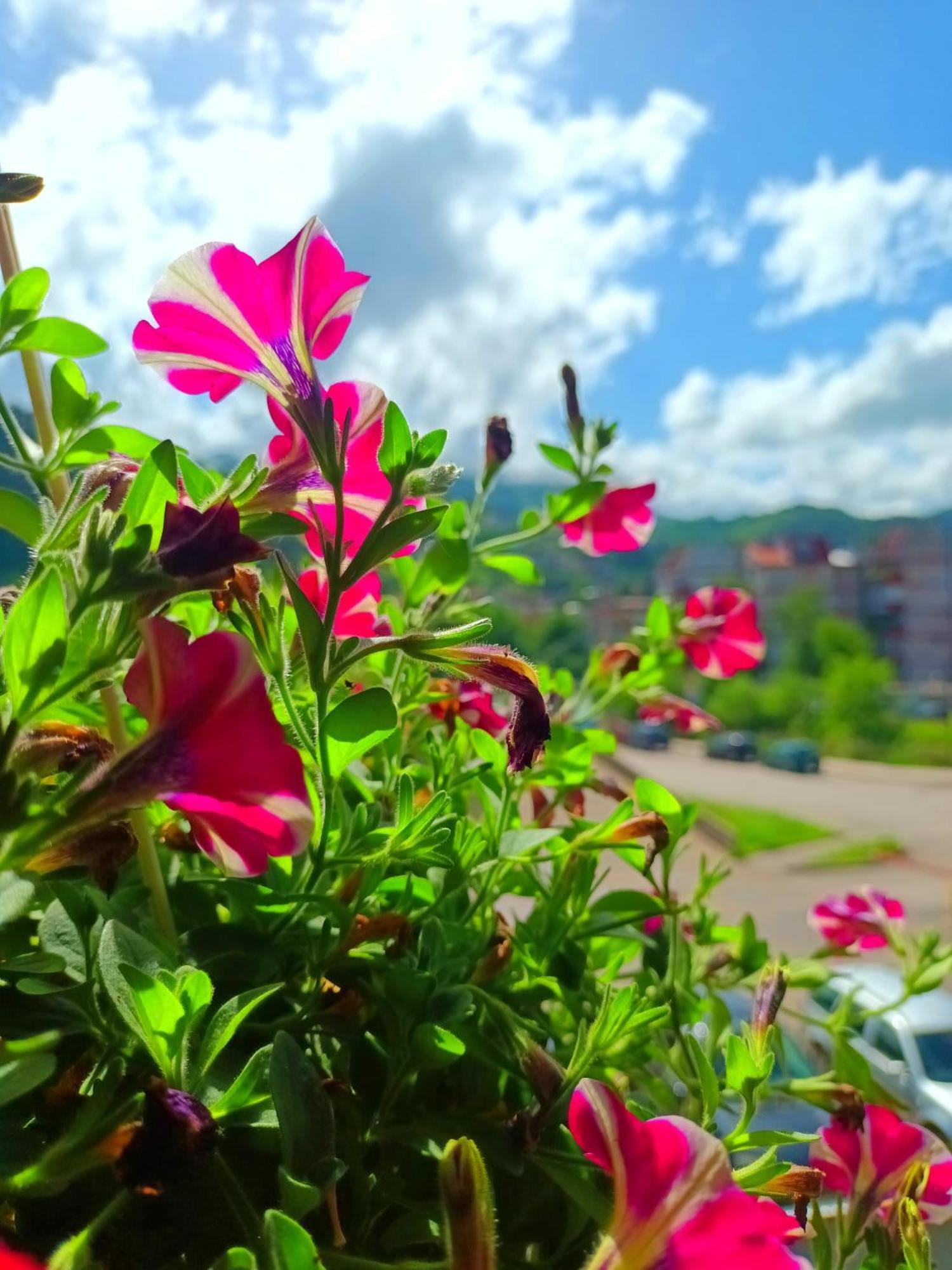 Spacious And Modern Apartment In Town Center Konjic Bagian luar foto
